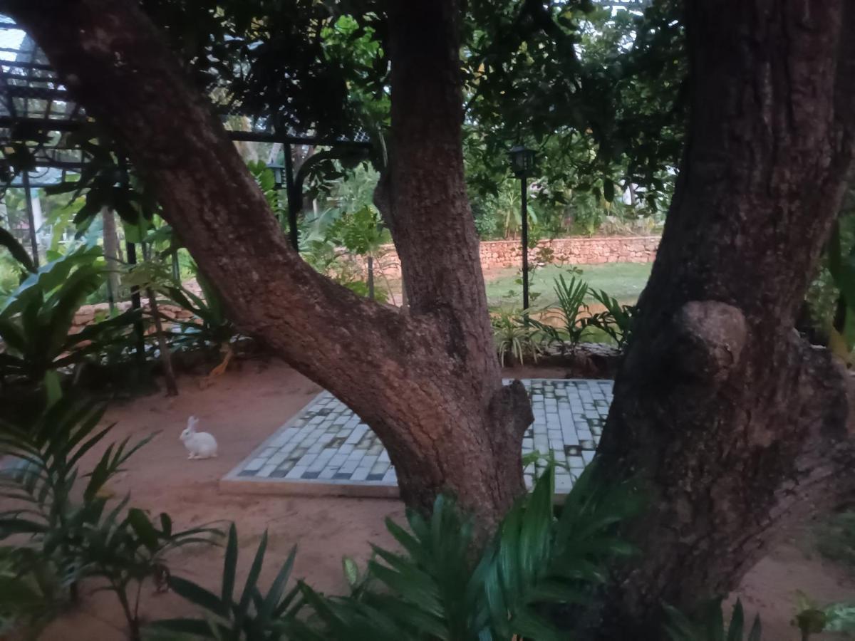 Lucky Beach Resort Trincomalee Dış mekan fotoğraf