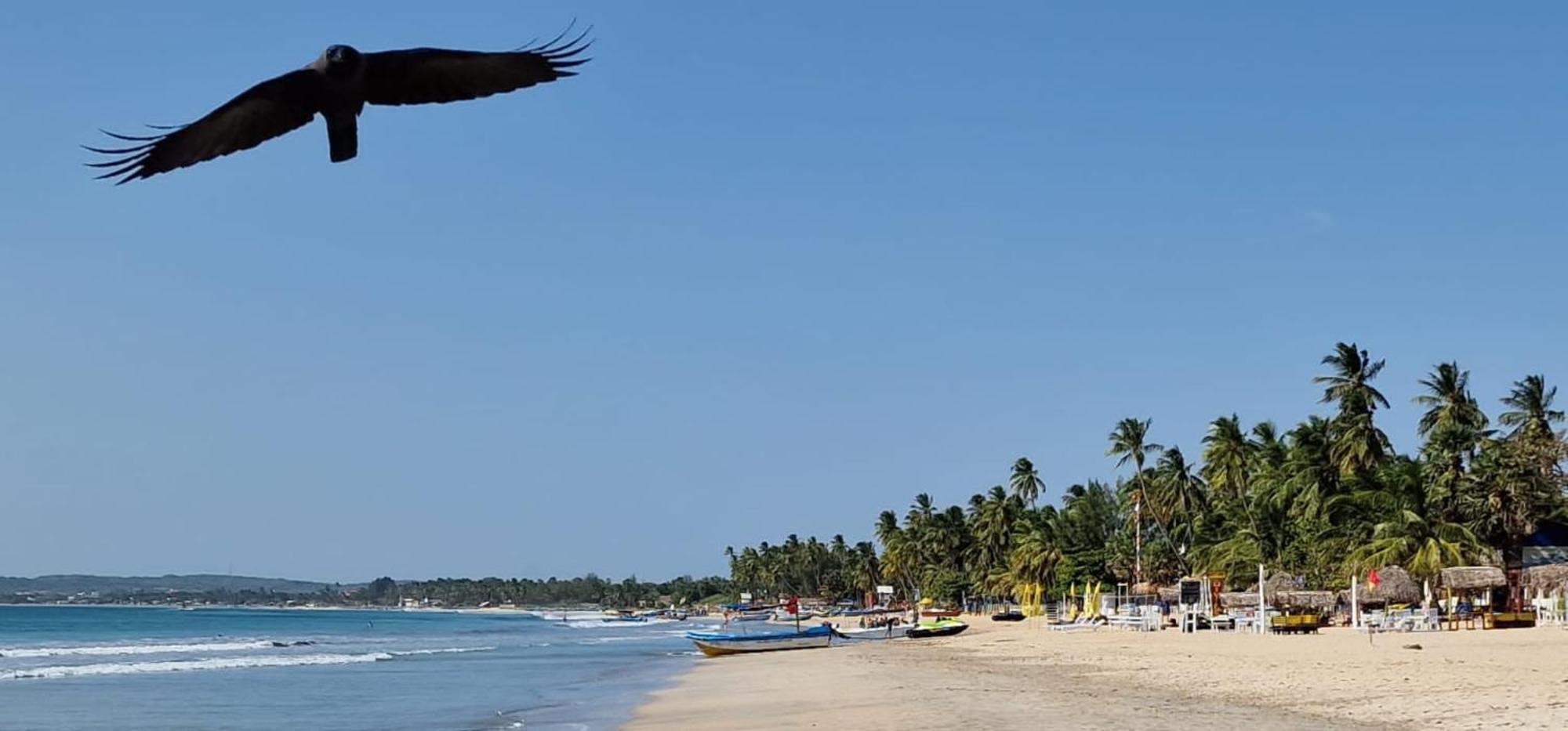 Lucky Beach Resort Trincomalee Dış mekan fotoğraf